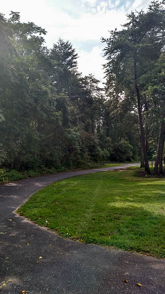 Thomas A. Dixon Aircraft Observation Area